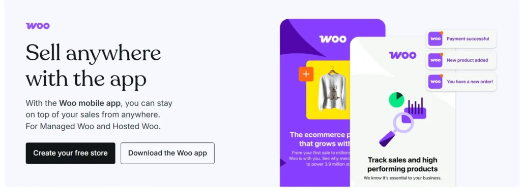 wordpress development at alphadigitalweb