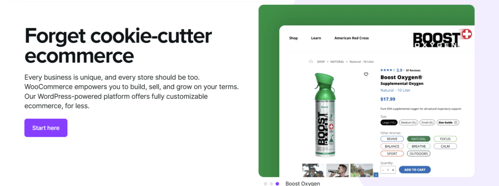 wordpress plugins for web development at alphadigitalweb