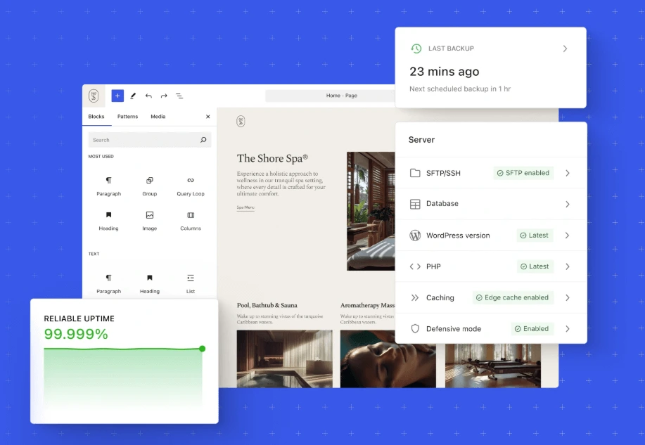 WordPress Buildind Insight at AlphaDigitalWeb