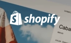 build your shopify store with alphadigitalweb