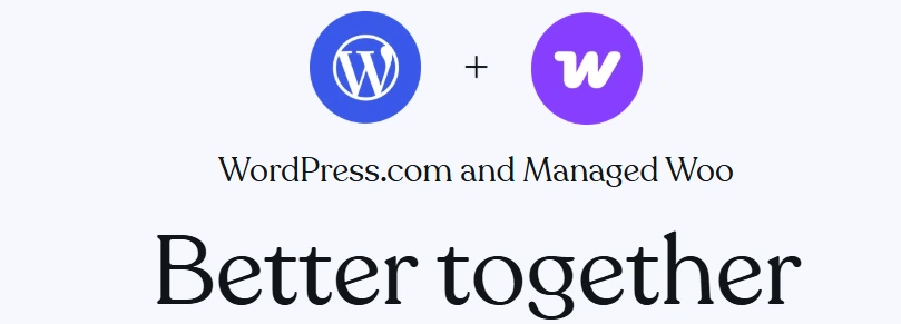 wordpress woocommerce store building at alphadigitalweb