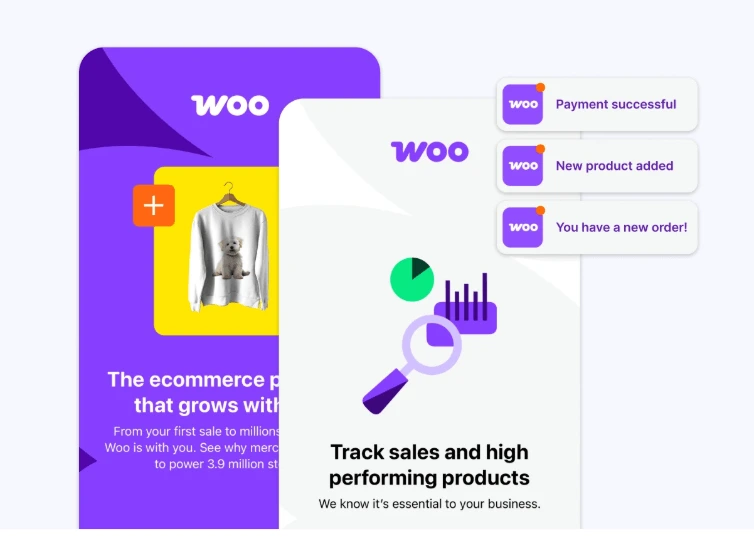 ecommerce cost control solution at alphadigitalweb