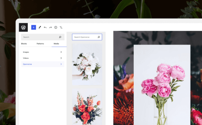 web hosting vs web builder insights at alphadigitalweb