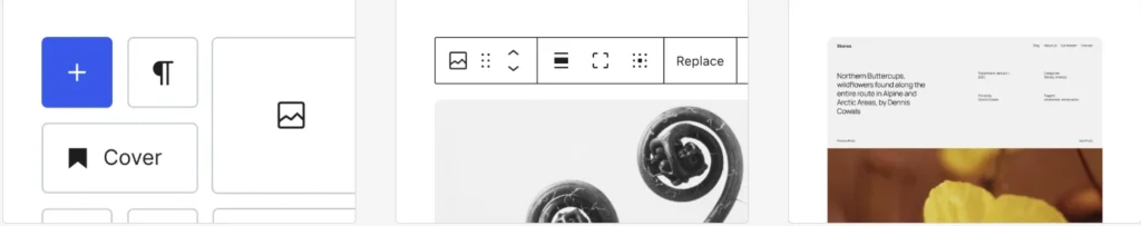 wordpress insights for website building at alphadigitalweb