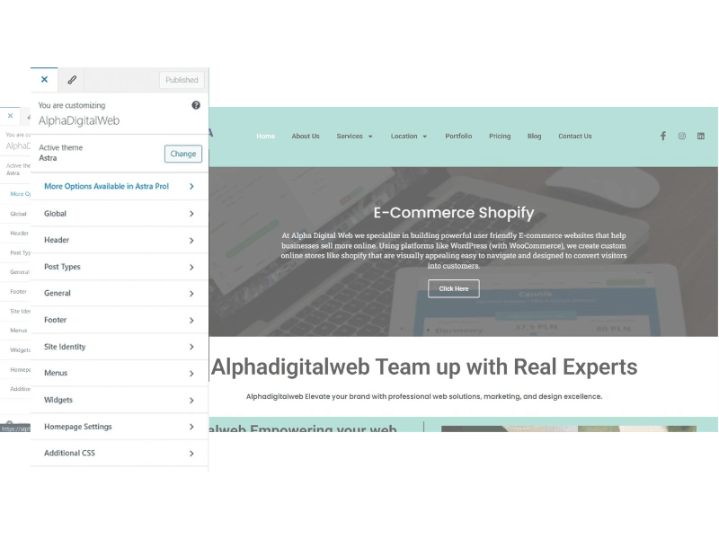 astra theme customization and settings alphadigitalweb help you to understand