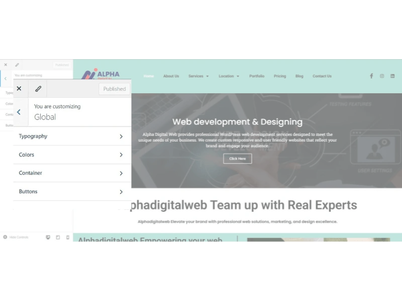 typography color container and button customization in astra theme at alphadigitalweb