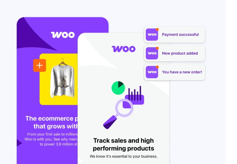 Best WordPress woocommerce Theme to boost store at alphadigitalweb