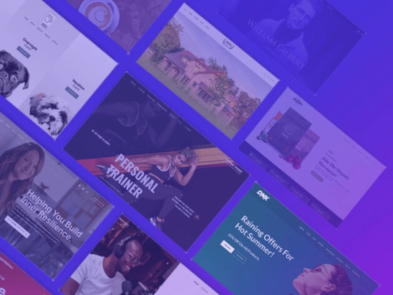 Best WordPress Ecommerce Theme to boost store at alphadigitalweb