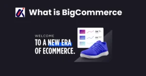BigCommerce Explained What It Is and Why Business Choose It in 2025 at alphadigitalweb