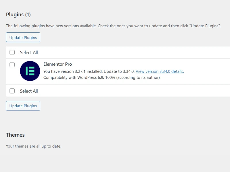 Keep WordPress Core Themes and Plugins Updated alphadigitalweb help you